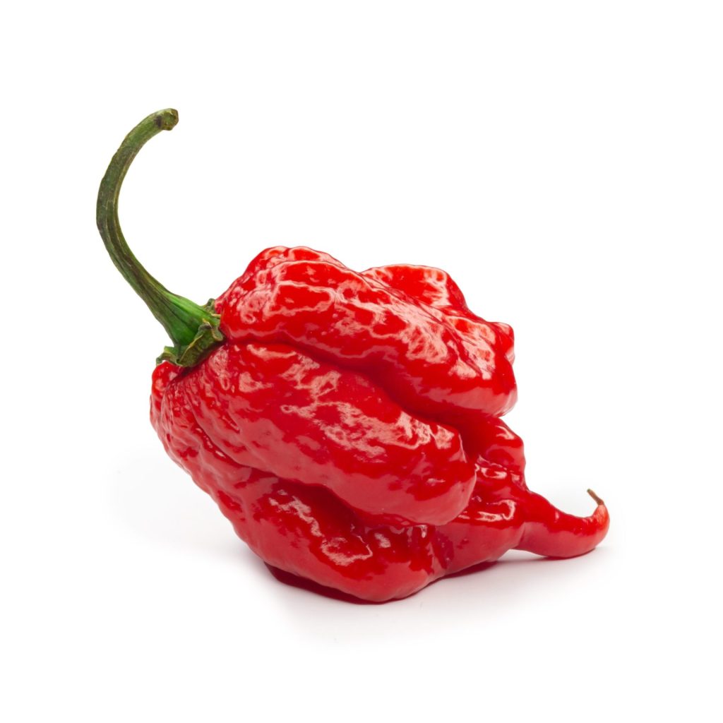 Carolina Reaper